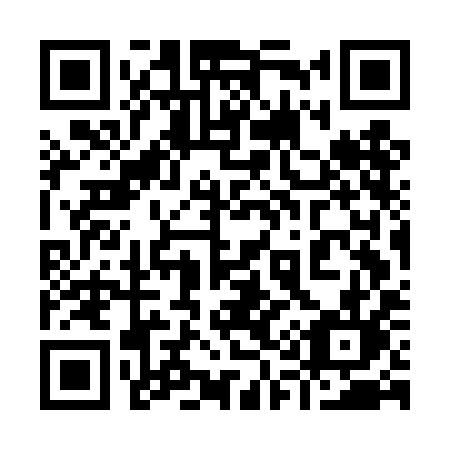 QR code for plate 917-DIL