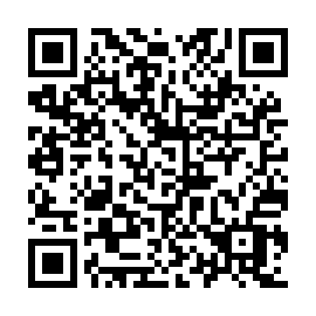 QR code for plate 917-MAV