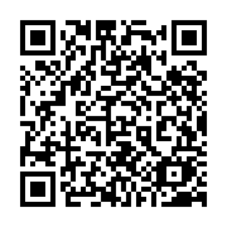 QR code for plate 917-QOM