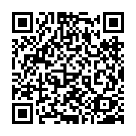 QR code for plate 917-RGY