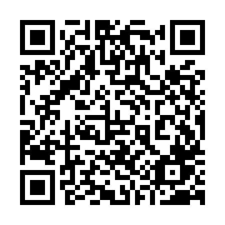 QR code for 919-MXV