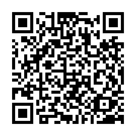 QR code for 919-NPY