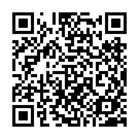 QR code for 919-RIM