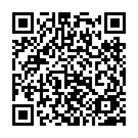 QR code for plate 919-BEE