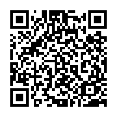 QR code for plate 919-GDU