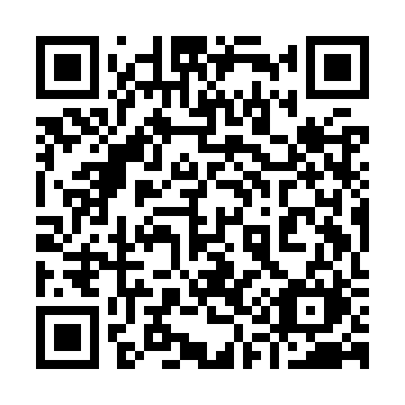 QR code for plate 919-KRM