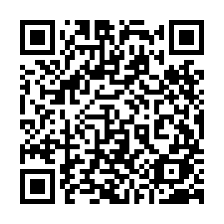 QR code for 919LMH