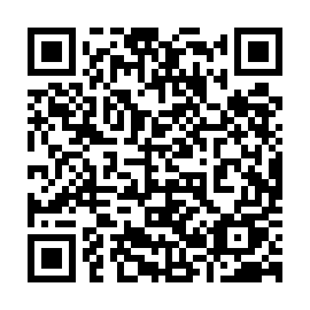 QR code for plate 920-UEU