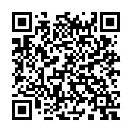 QR code for 938FCY