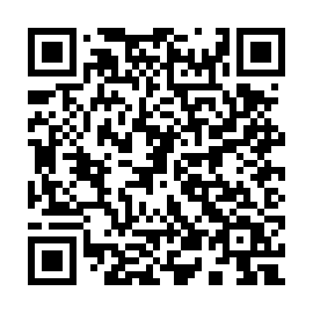 QR code for 950DZT
