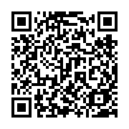 QR code for 951VIE