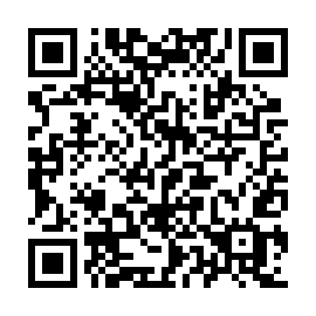 QR code for 953-RUG
