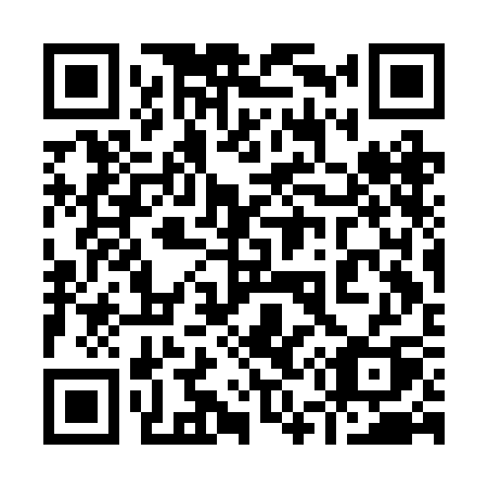 QR code for 953BCQ