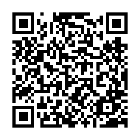 QR code for 955-VLT