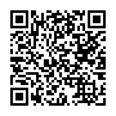 QR code for plate 956-HOX