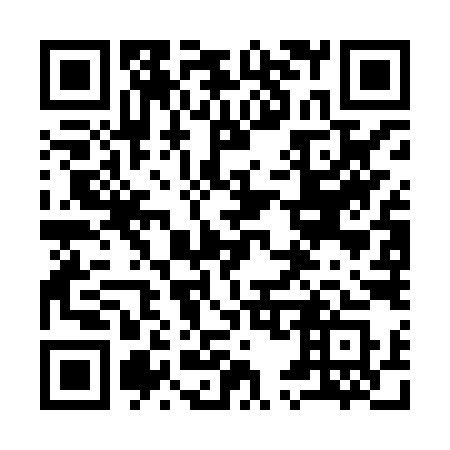 QR code for plate 957-HYS