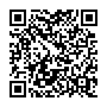 QR code for 966CTF