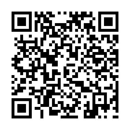 QR code for 991-SEF
