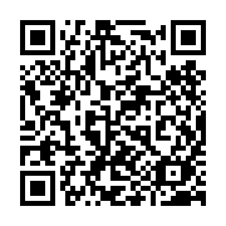 QR code for 991-TIM