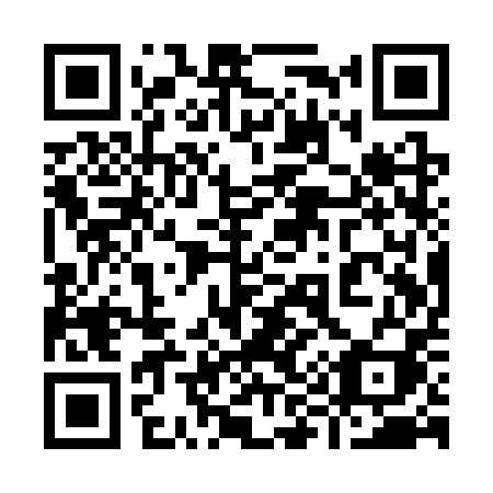 QR code for 991SPI