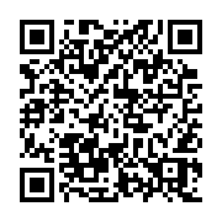 QR code for plate 991-SUR