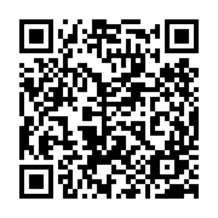 QR code for 991TDT