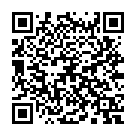 QR code for 991WSP