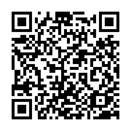 QR code for plate 993-NPQ