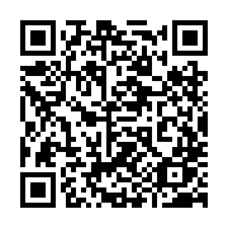 QR code for plate 993-SLP