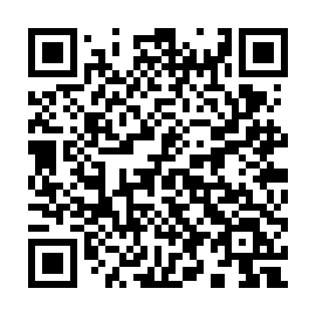 QR code for plate 993-VDL