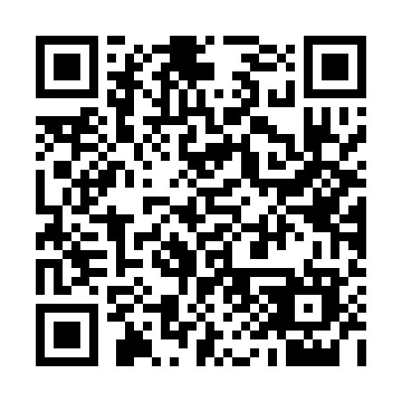 QR code for plate 995-APO