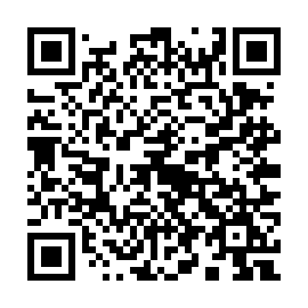 QR code for plate 995-TNM