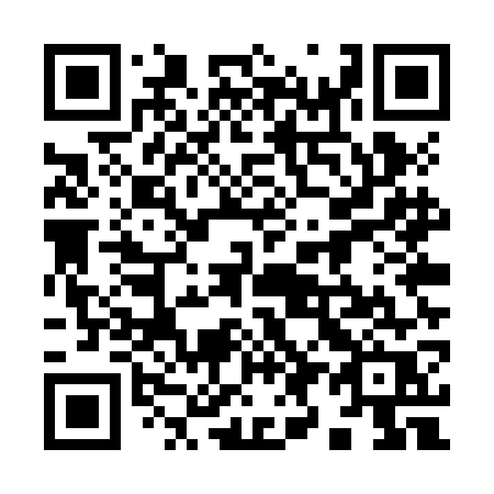 QR code for 995ZGR