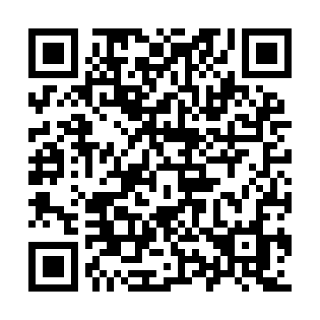 QR code for 996-ICO
