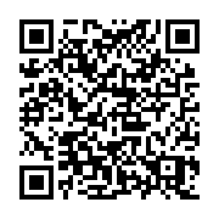 QR code for plate 996-NPP