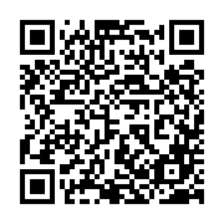 QR code for plate 9B6-5T6