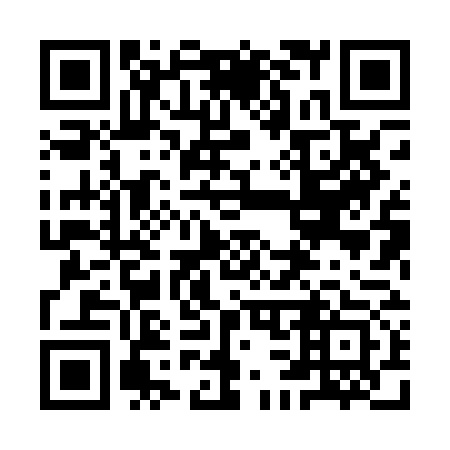 QR code for plate 9C8-0G3