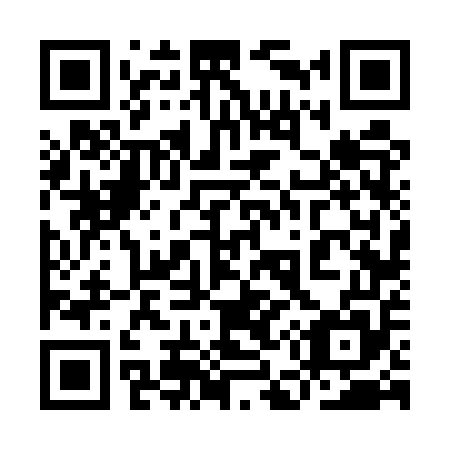 QR code for plate 9E6-5U5