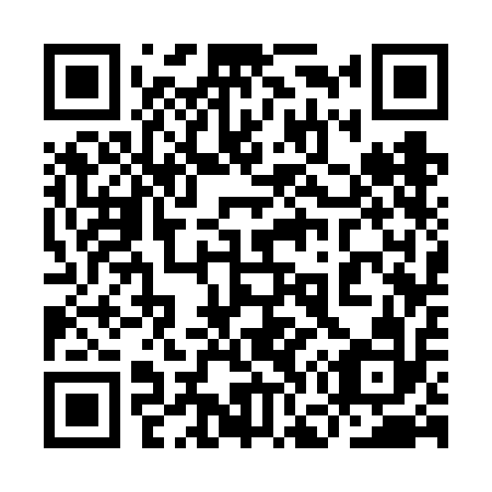 QR code for plate 9G3-6A2