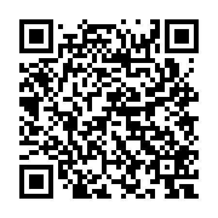 QR code for plate 9I0-3P9