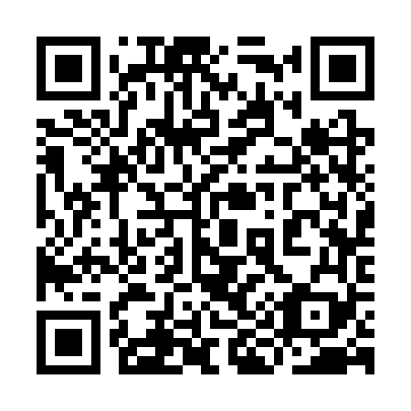 QR code for plate 9I3-3V9
