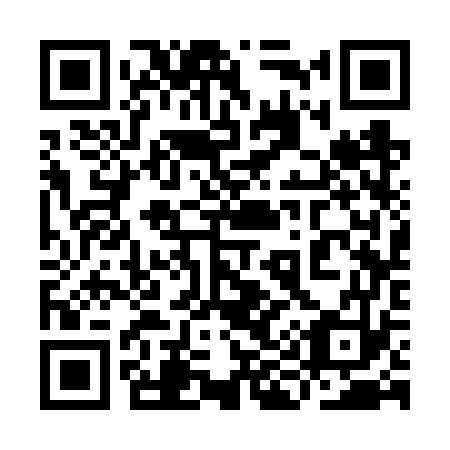 QR code for plate 9I3-6W3