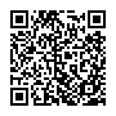 QR code for plate 9I7-7N7