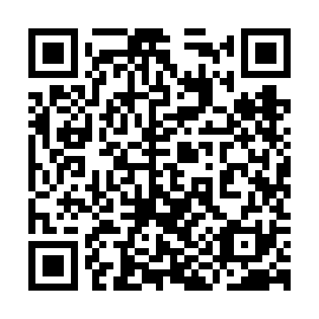 QR code for plate 9I9-6K1