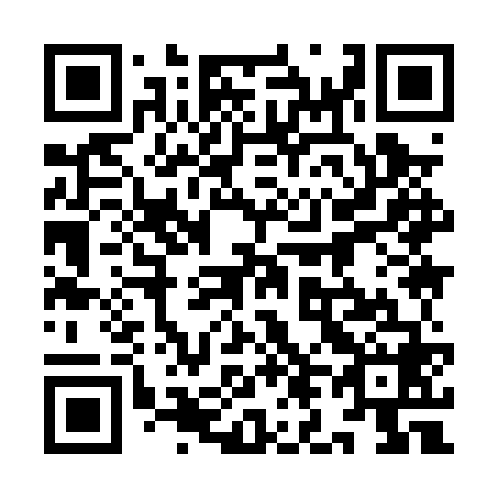 QR code for plate 9L9-0V8
