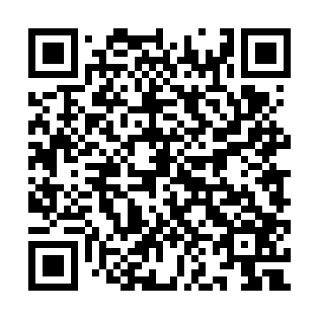 QR code for plate 9N4-6P6