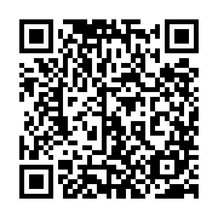 QR code for plate 9N9-5L5