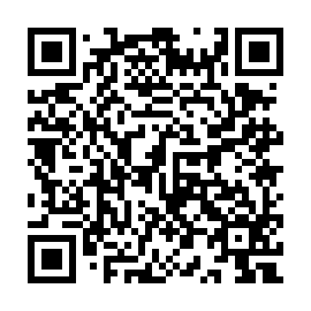 QR code for plate 9P1-4I6