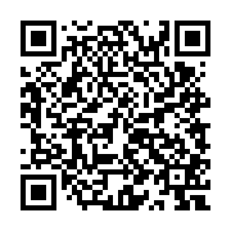 QR code for plate 9Q4-6P1