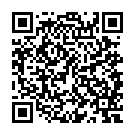 QR code for plate 9Q6-0H5